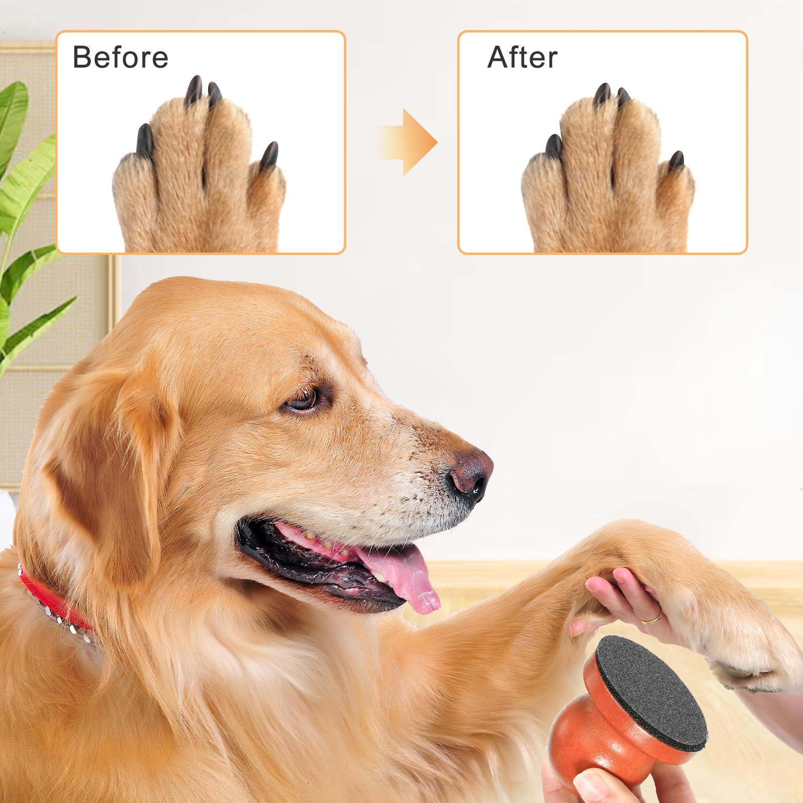 Jeqqinuz Dog Nail File, hand held