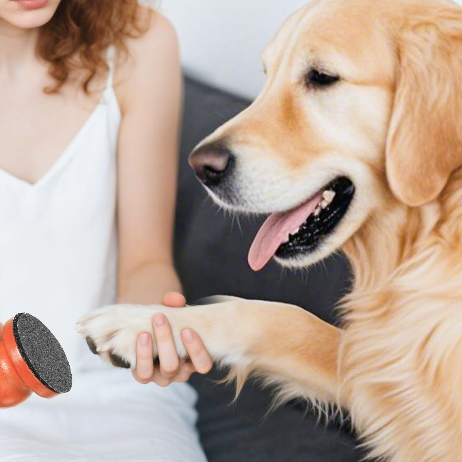 Jeqqinuz Dog Nail File, hand held