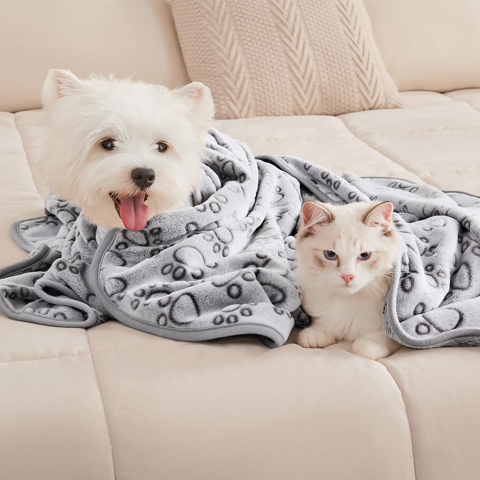 1 Pack 3 Blankets Super Soft Fluffy Premium Fleece Pet Blanket Flannel Throw for Dog Puppy Cat - Paw