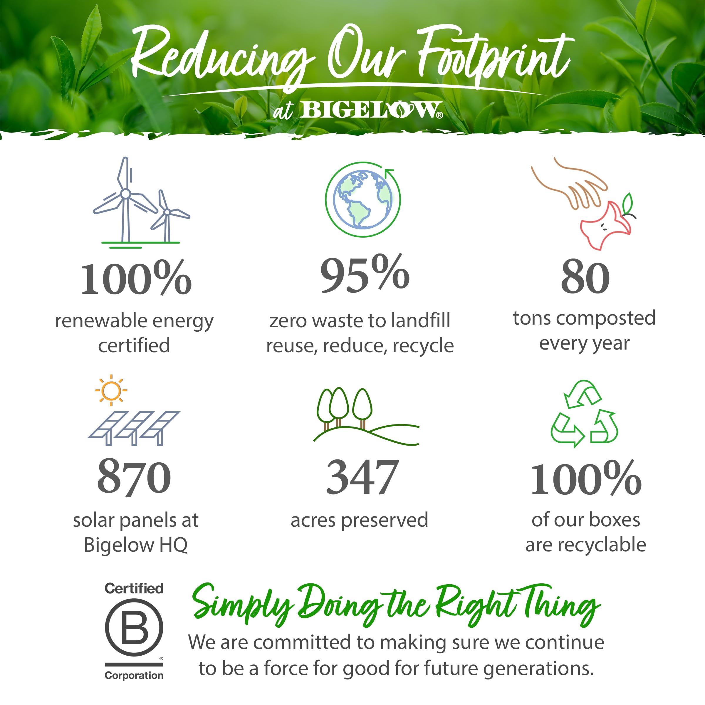 Bigelow Tea Benefits Stay Well Lemon Echinacea Keurig K-Cups Pods Herbal Tea